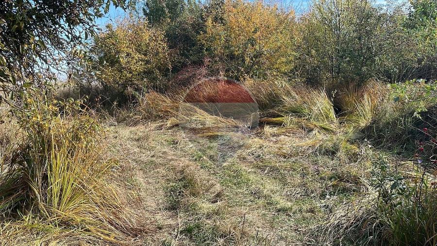 Teren agricol extravilan de 2900 mp, în Gheorghieni