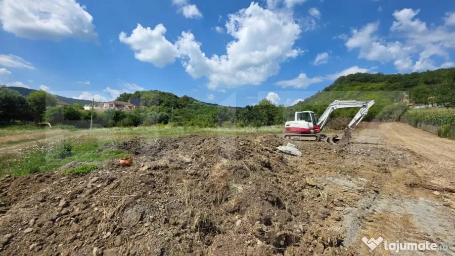Teren de 3500 mp, în Viișoara