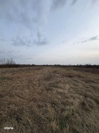Teren intravilan 10.000 mp plan | Utilitati in apropiere | La 8 min de - 1