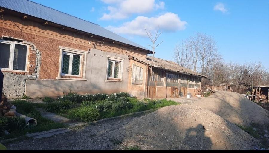 Casă cu 4 camere în Buzescu