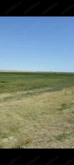 Teren de 40000 mp, în Plopu