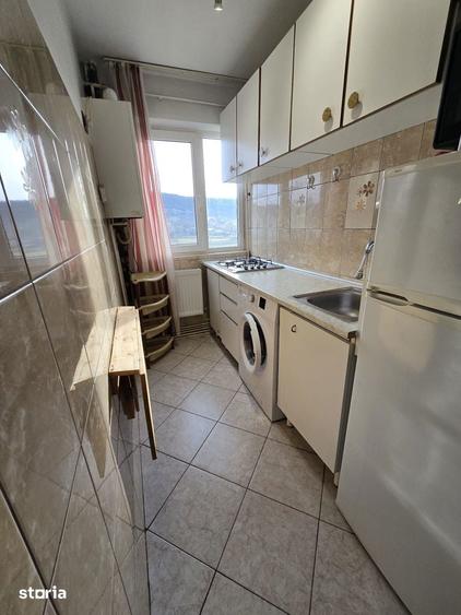 Inchiriere apartament ,Alexandru Cel Bun.Contract Anaf,300 euro - 10