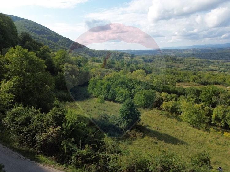 Teren Construcții de 5000 mp, în Măgureni