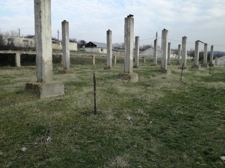 Teren Construcții intravilan de 16417 mp, în Pâncești