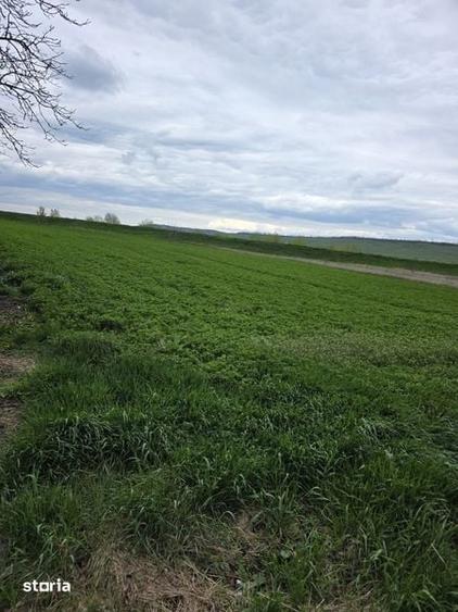 Vand teren intravilan in Lutca,la 5 km de Roman - 1