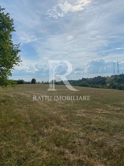 Teren Construcții intravilan de 17500 mp, în Șinteu