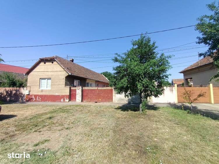 Casă cu 3 camere cu Teren 1548 Mp în Aradul Nou