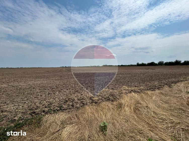 Teren de 14000 mp, în Ghercești