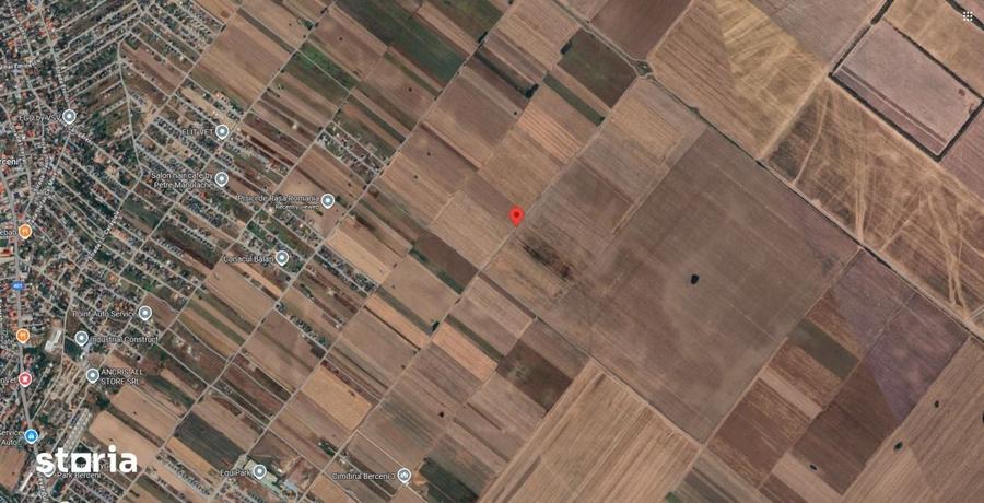 Teren de 4819.53 mp, în Berceni