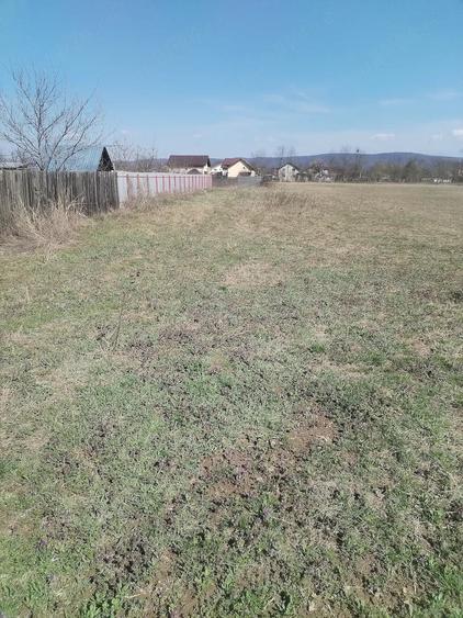 Teren de 5500 mp, în Ruși-Ciutea