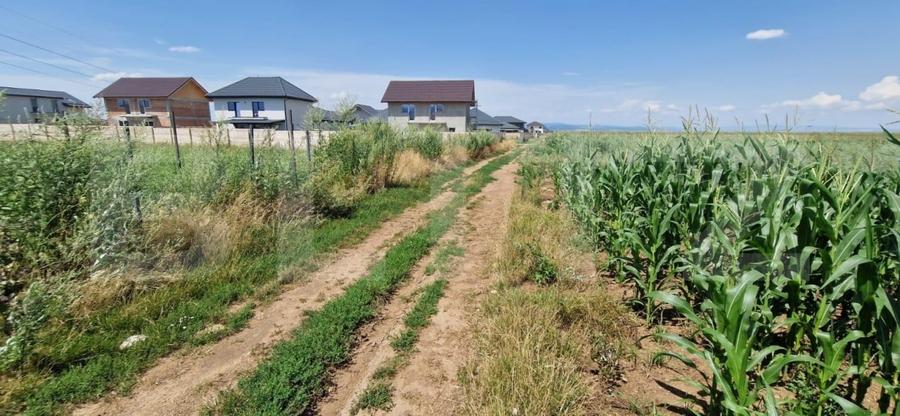 Teren Construcții extravilan de 10900 mp, în Florilor