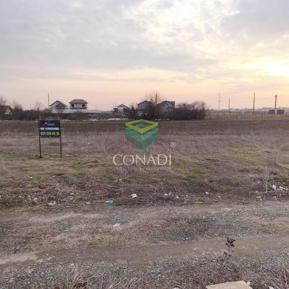 Teren Construcții intravilan de 600 mp, în Berceni