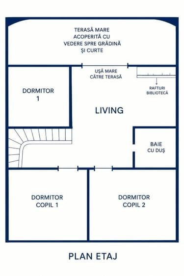Casă individuală cu 5 camere cu Teren 7000 Mp în Central