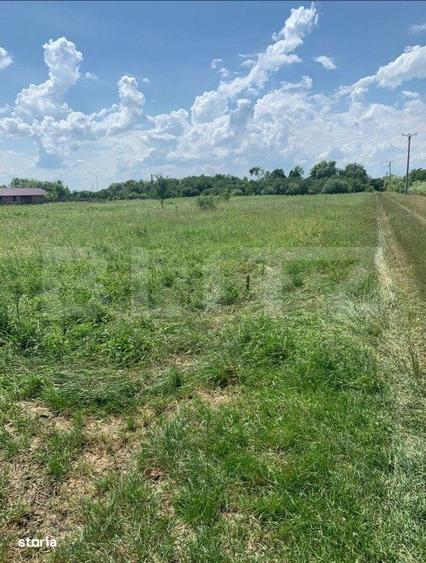 Teren Extravilan de Vanzare 40 Ari Strada Spicului - 2