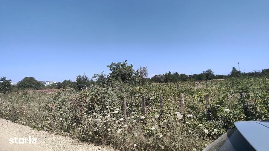 Teren de 300 mp, în Central