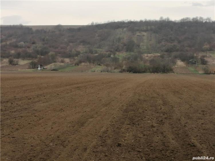 Teren de 8800 mp, în Vinerea