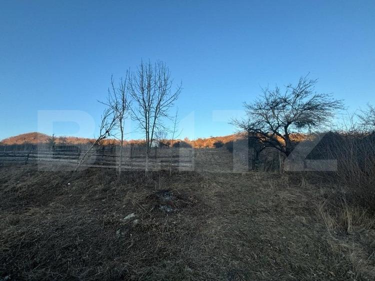 Teren Construcții intravilan de 6500 mp, în Unirea