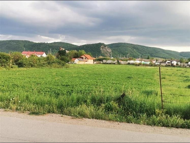 Teren Construcții intravilan de 9300 mp, în Chistag