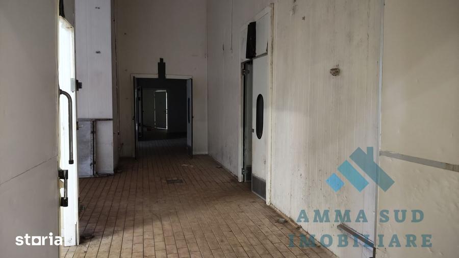 Hala Productie Abator - 1.000 mp - 5.000 mp teren - Sos. Oltenitei DN4 - 7