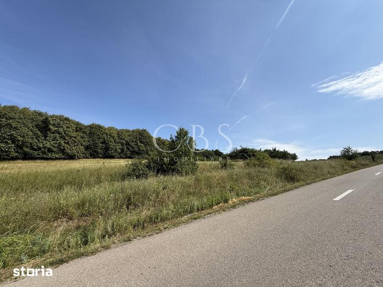 Teren de 6297 mp, în Mociu