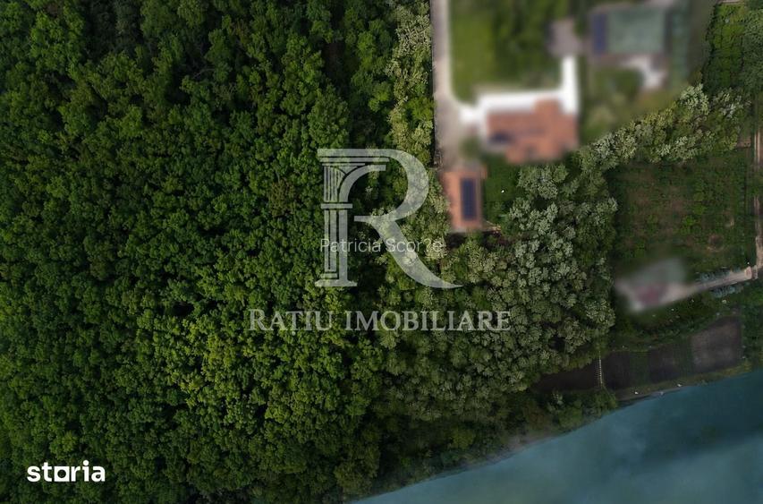 Teren cu lac | 9.000 mp | Oportunitate Investitionala