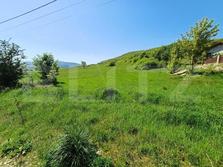 Teren Construcții intravilan de 5000 mp, în Sud