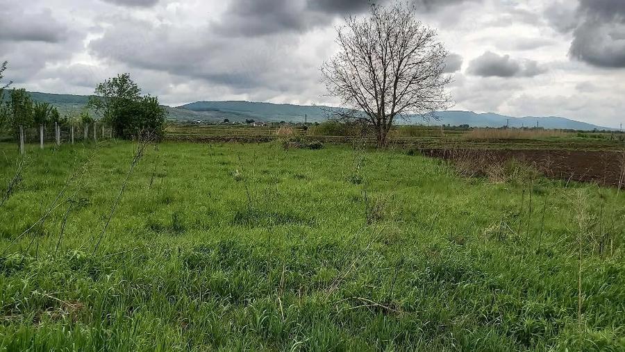 Casă cu Teren 1400 Mp în Coasta