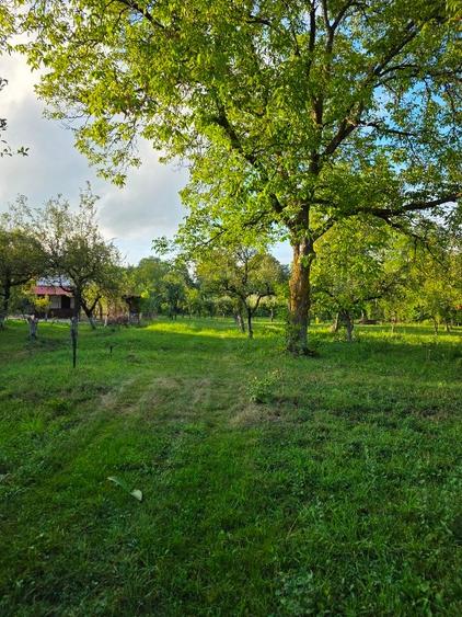 Teren 2500 mp – POTENȚIAL BUSINESS / DEZVOLTARE – Breaza - 1