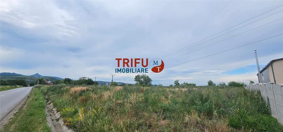 Teren Construcții intravilan de 9087 mp, în Ighiu