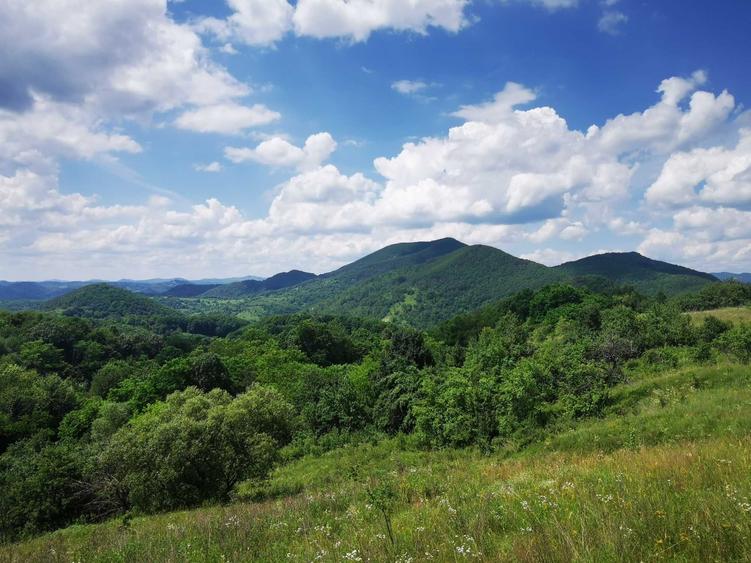 Teren de 42500 mp, în Barbura