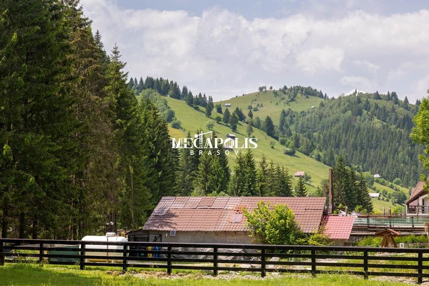 Teren Construcții intravilan de 12307 mp, în Moieciu de Sus