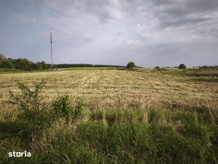 Teren de 5020 mp, în Bălcăuți