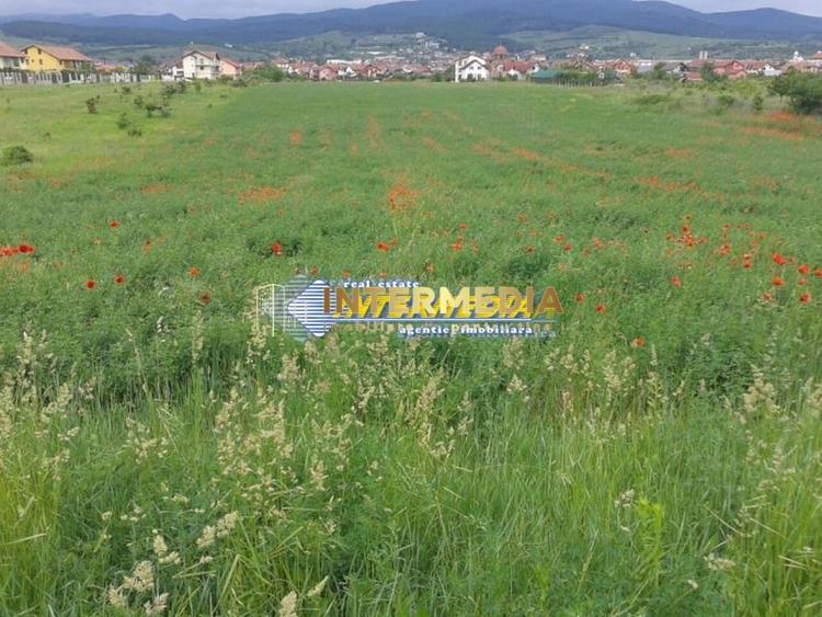Teren Construcții intravilan de 4300 mp, în Cetate