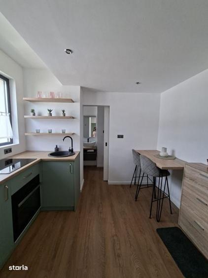 Apartament cu 1 camera, RENOVAT COMPLET, zona Vivo Mall - Ideal invest - 6