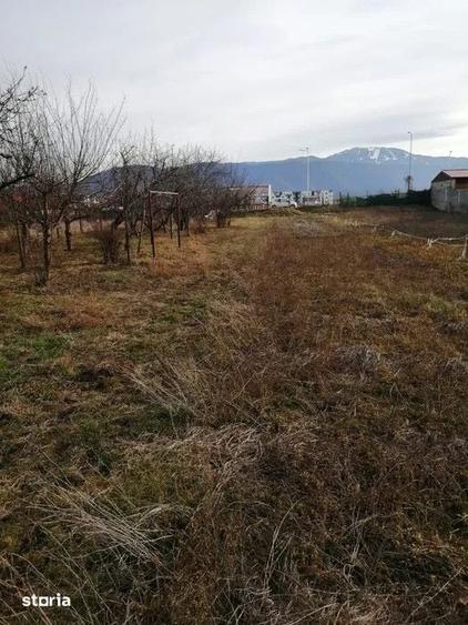 Teren de 934 mp, în Central