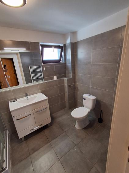 Inchiriere Vila Baneasa Lac Straulesti - 17