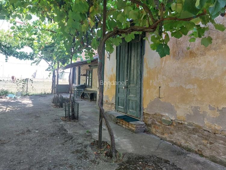 Casă cu 6 camere cu Teren 1480 Mp în Iecea Mare