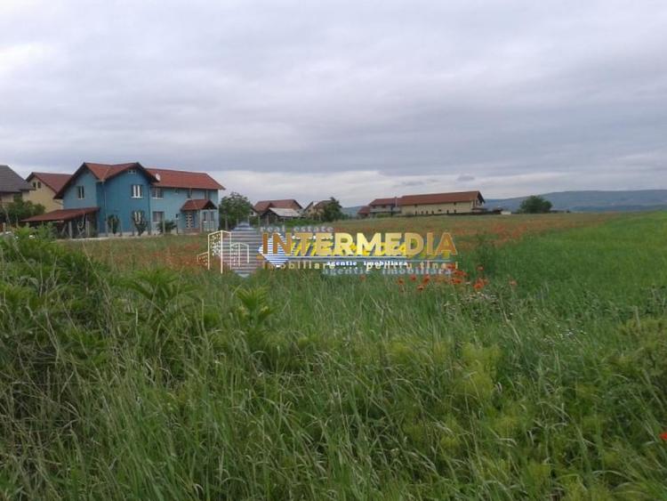 Teren Construcții intravilan de 8600 mp, în Cetate