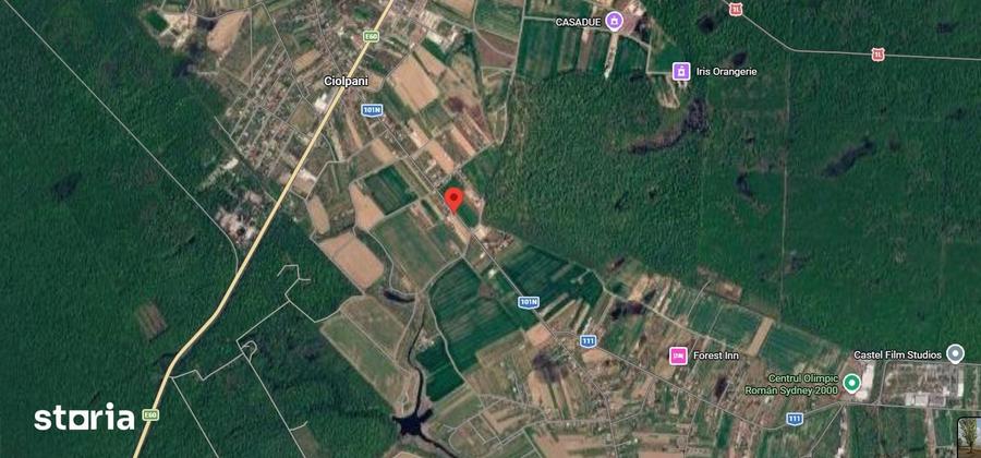 Teren de 3106.11 mp, în Ciolpani