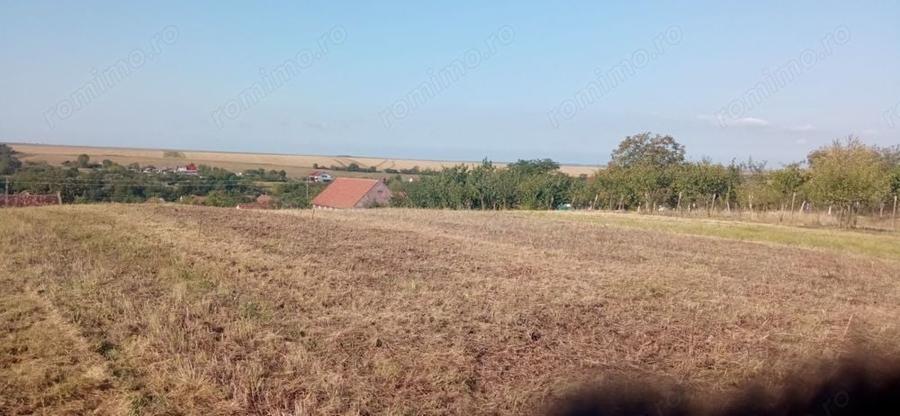 Teren de 2600 mp, în Silagiu
