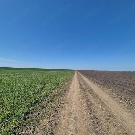 Teren de 11961 mp, în Grădiștea