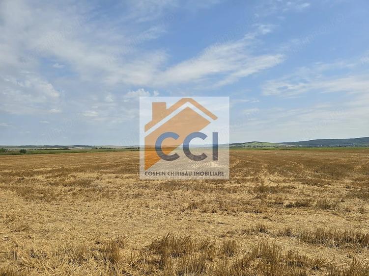 Teren intravilan 50.000 mp, Bacau, ?oseaua Hol - 1