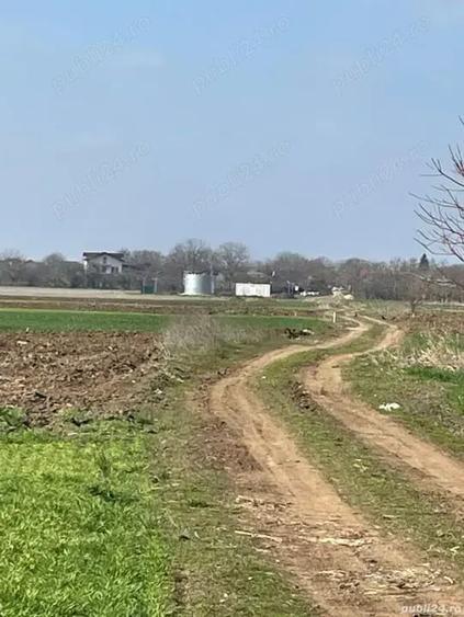 Teren de 5000 mp, în Central