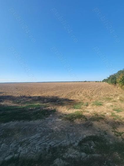 Teren de 250000 mp, în Comana