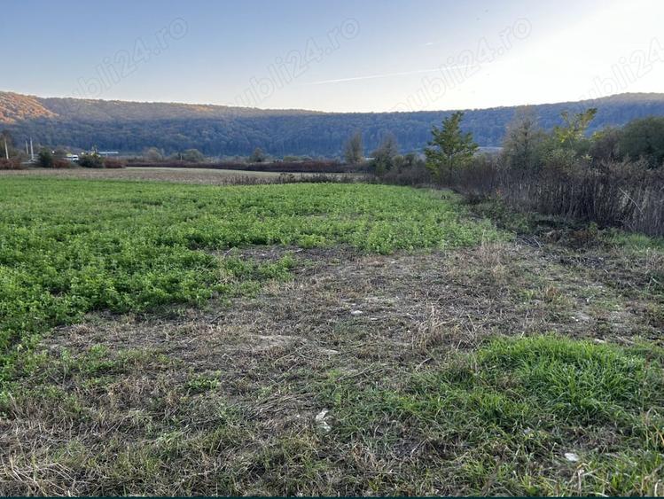 Teren de 5800 mp, în Central