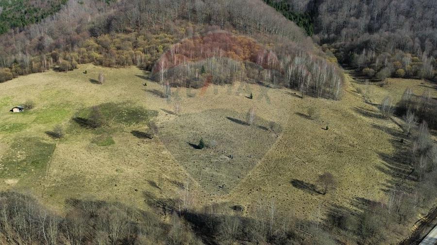 Teren agricol extravilan de 16466 mp, în Mara