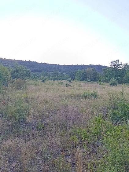 Teren extravilan (front intravilan) 3016 mp | Sebi?, jud. Arad - 3