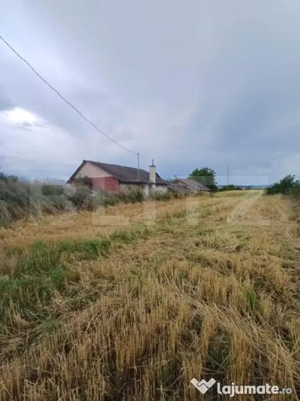 Teren de 6000 mp, în Turda