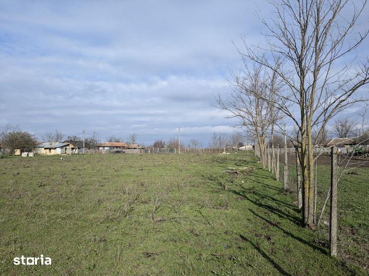 Teren de 4194 mp, în Central