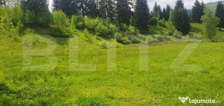 Teren intravilan, 2411 mp, zona Saru Dornei - Vatra Dornei - 1